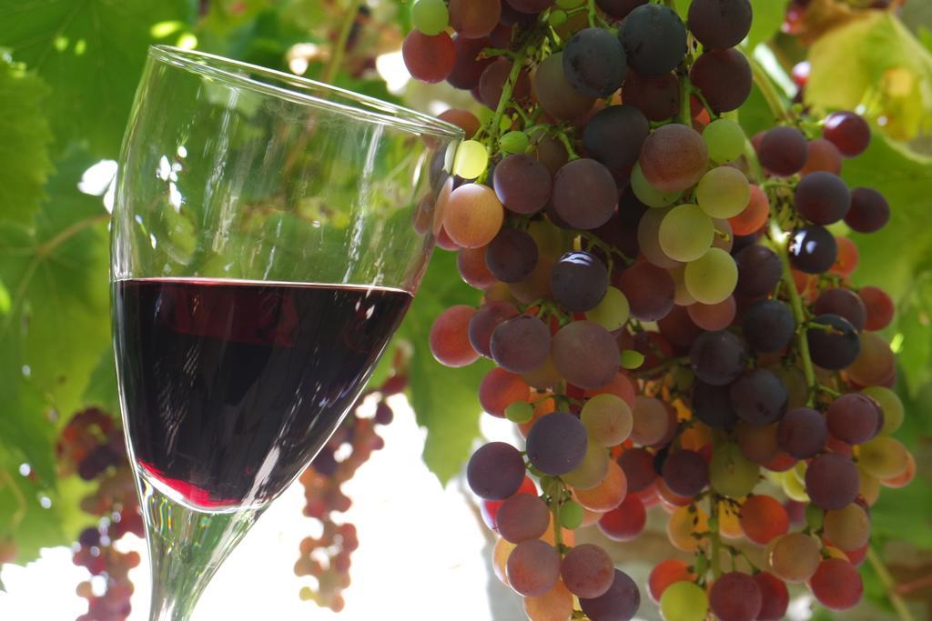 Espere Le Balcon Des Jasses Bed & Breakfast エクステリア 写真